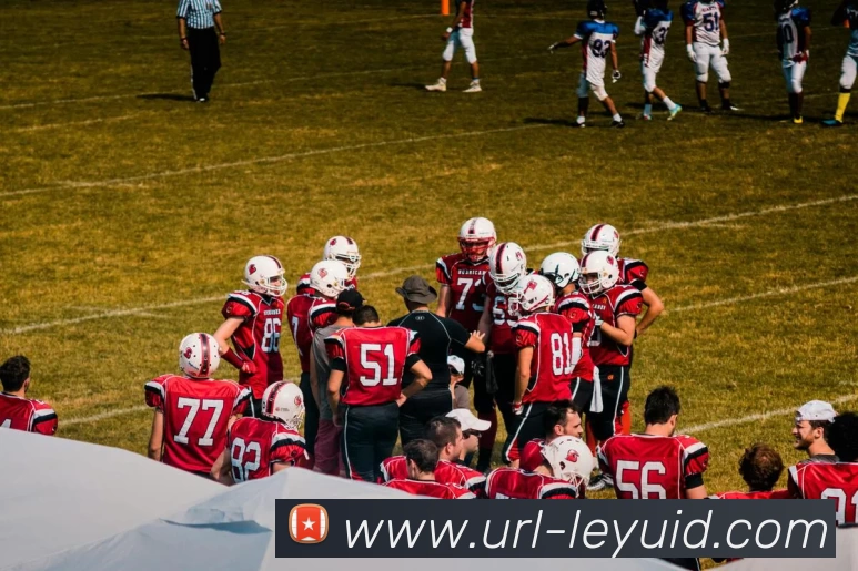 App Interface Preview