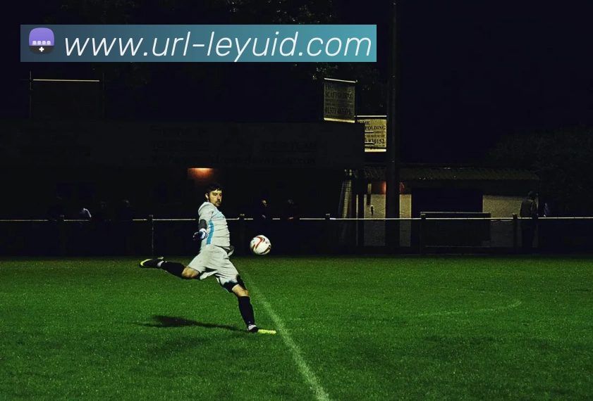 乐鱼体育APP 封面图